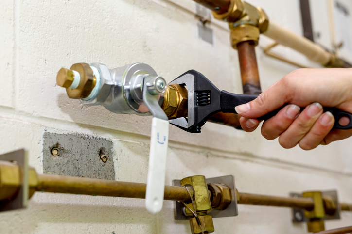 Plumbing Check: Pipes, Leaks, Fixtures, Water Heater & Drains