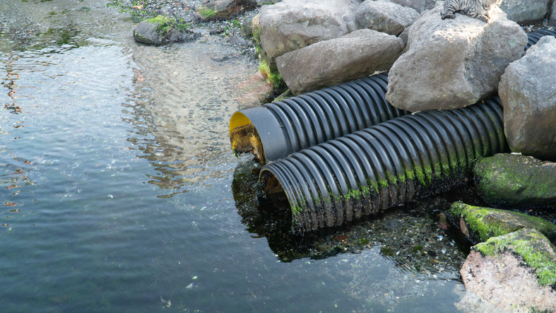 Common Sewer Line Blockages & How to Fix Them