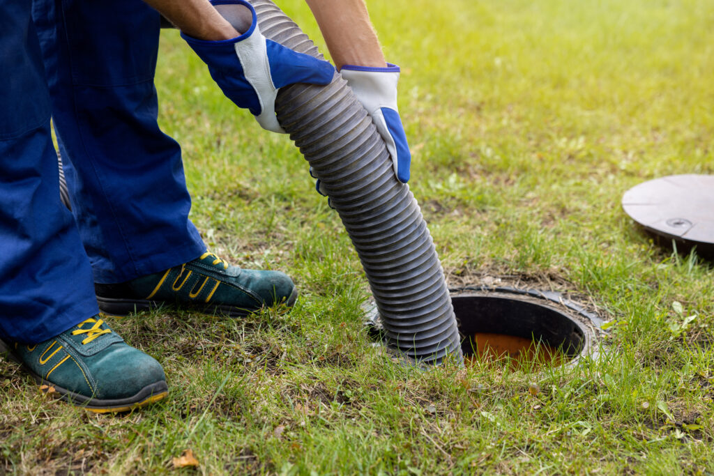 The Role of Tree Roots in Persistent Drain Cleaning Issues