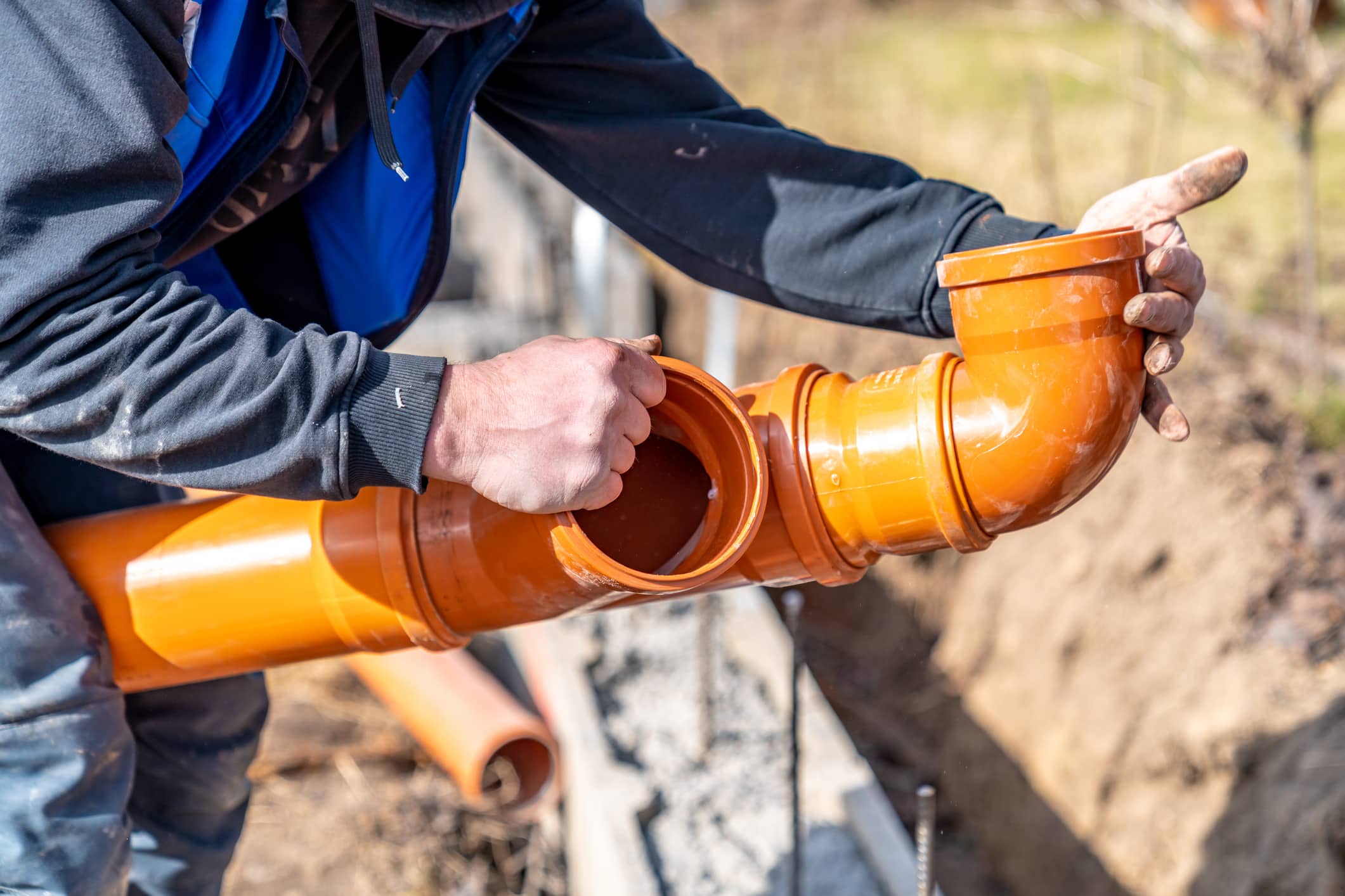 Tree Root Problems in Sewer Lines: Prevention And Solutions